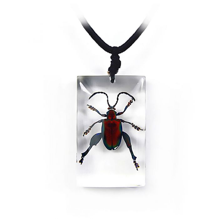 705511 - Jewel Frog Beetle - Rectangle - Necklace