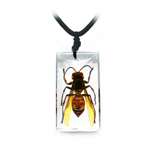 705530 - Real Insect - Necklace - Wasp
