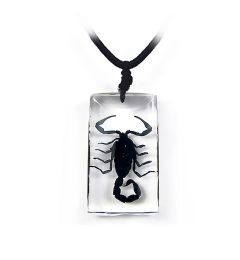 705991K - Real Insect - Keychain - Black Scorpion
