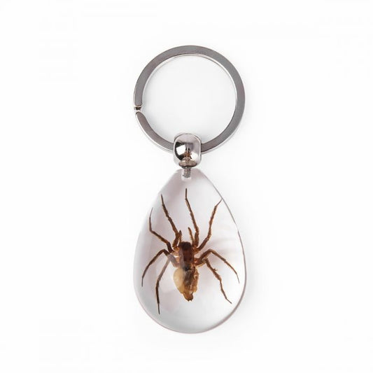 700963 - Real Insect - Keychain - Brown Spider