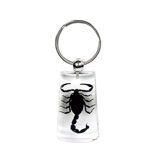 701091 - Real Insect - Keychain - Black Scorpion
