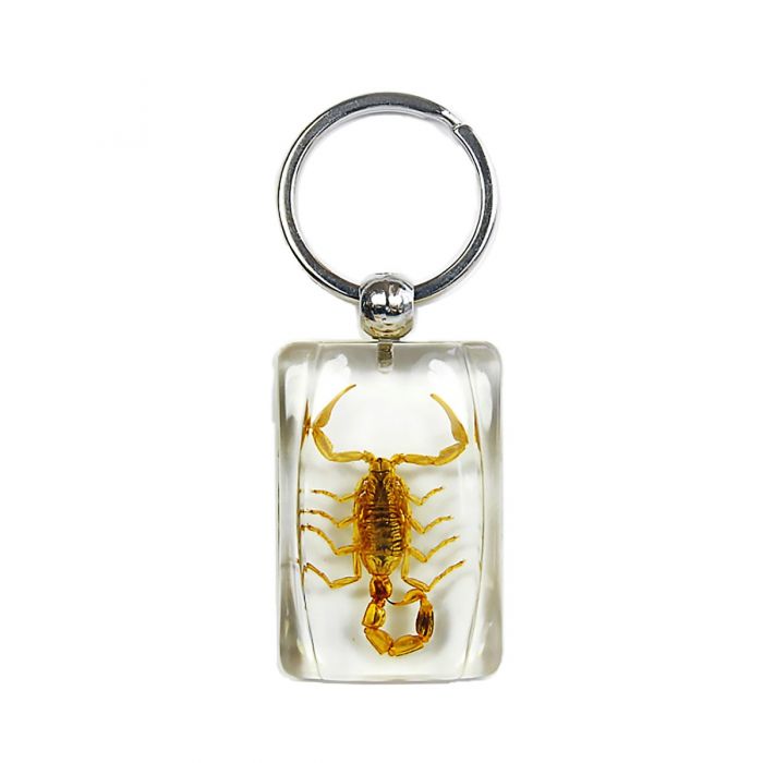 705901 - Real Insect - Keychain - Brown Scorpion