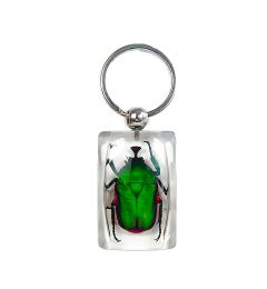 705941 - Real Insect - Keychain - Green Rose Chafer Beetle