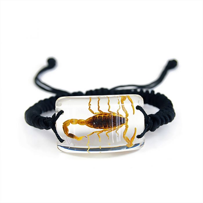 701501 - Real Insect - Bracelet - Brown Scorpion