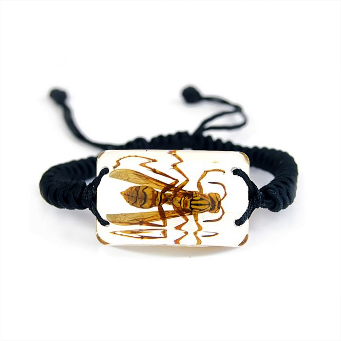 701529 - Real Insect - Bracelet - Yellow Jacket Wasp