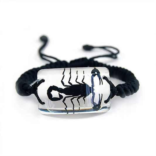 701591 - Real Insect - Bracelet - Black Scorpion