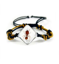 701931 - Real Insect - Bracelet - Ant - Diamond Shaped