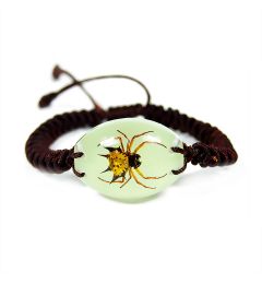 701405 - Real Insect - Bracelet - Spiny Spider - Glow in Dark