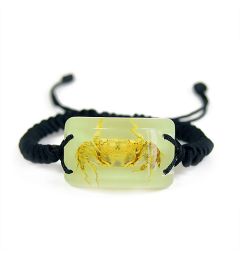 701539 - Real Insect - Bracelet - Glow in the Dark -  Crab